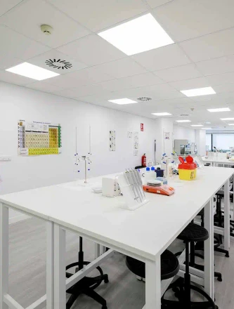 Imagen de galería